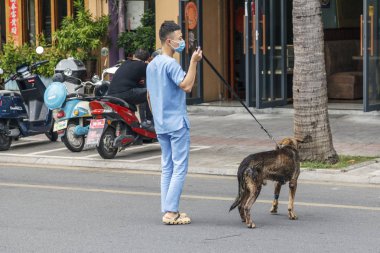 Çin, Hainan Adası, Dadonghai Körfezi - 2 Aralık 2018: Sanya şehrinde şehir caddesi, gönüllü yardım, Çinli bir veteriner sokak köpeğini kurtarır,editör.