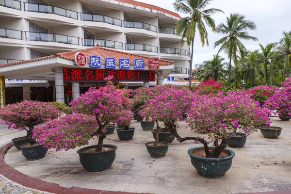 China Hainan Island Dadonghai Bay Dezember 2018 Hotel South China — Stockfoto