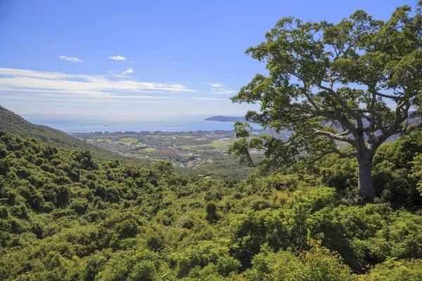 Forest Park Yalong Bay Tropic Raj — Zdjęcie stockowe