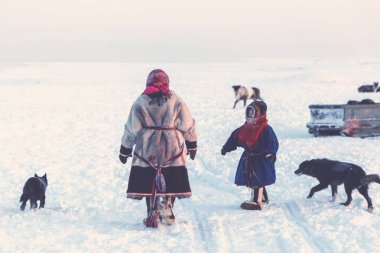 Nadym, Rusya Federasyonu - 21/02/2018:tundra, açık alan, Yardımcısı Ren geyiği