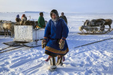 Nadym, Rusya - 23 Şubat 2019: Yamal, açık alan, tundra, 