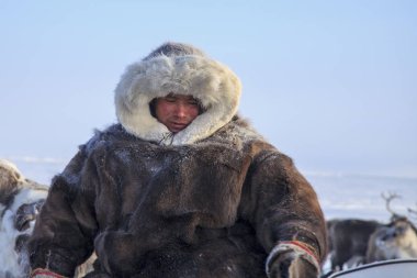 Nadym, Rusya - 23 Şubat 2019: Yamal, açık alan, tundra, 