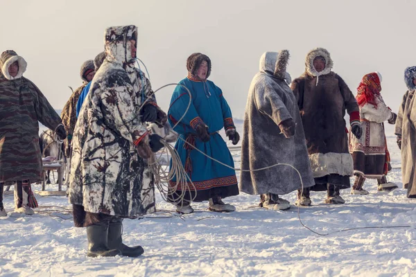 Nadym, Rusia - 23 de febrero de 2019: Yamal, área abierta, tundra, The — Foto de Stock