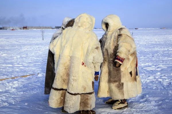 Yamal, open area, tundra,The extreme north,  Races on reindeer s — Stock Photo, Image