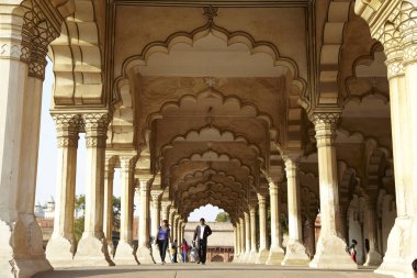 Hindistan, Agra - 10 Şubat 2013: Şiş Mahal (cam Sarayı), Agr