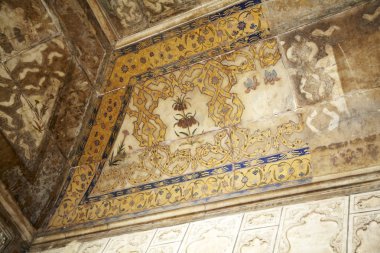 Hindistan, Agra - 10 Şubat 2013: Şiş Mahal (cam Sarayı), Agr