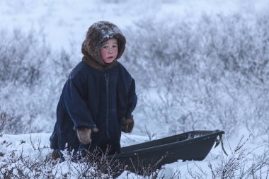 Tundra bir ikamet, uzak kuzey yerli sakinleri,
