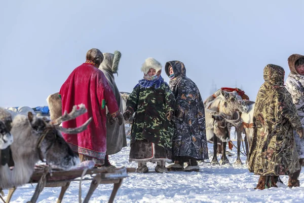 Nadym, Russia - February 23, 2019: Yamal, open area, tundra, The — стоковое фото