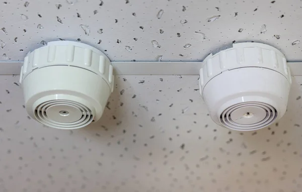 Fire alarm, smoke detector and pendent fire sprinkler on a ceili