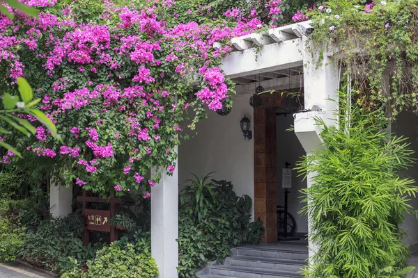 En la ciudad de Sanya, baño público urbano decorado con flores — Foto de Stock