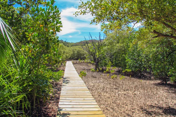 Wunderschönes exotisches Resort, ein Pfad in den Tropen — Stockfoto