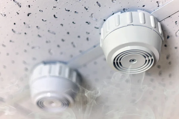 Yangın alarm, duman dedektörü ve askıda üzerinde bir ceili sprinkler yangın