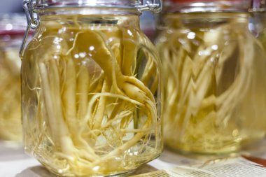 Halk hekimliği ve kozmetik Produ için Ginseng kökü ekstresi şişesi