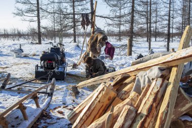 Residents of the far north,  the pasture of Nenets people, the d clipart