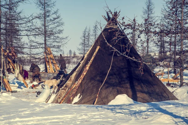 El extremo norte, Yamal, el pasto de la gente Nenets, la morada — Foto de Stock