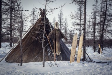 Aşırı kuzey, Yamal, Nenets otlaklar, p konutlar