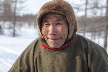Yamal'ın çok kuzeyinde, tundra, mera nord reindeers, closeup liman