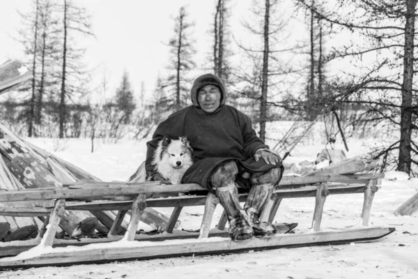 Muy al norte de Yamal, tundra, pastizales nord renos, primer puerto — Foto de Stock