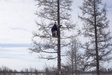 Aşırı kuzey, Yamal, Nenets otlaklar, p konutlar