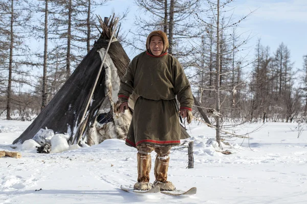 Residents of the far north,  the pasture of Nenets people, the d