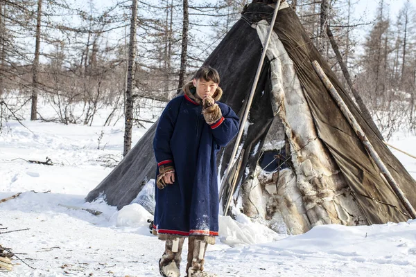 Жителі далекого півночі, пасовищі Ненецького народу, d — стокове фото