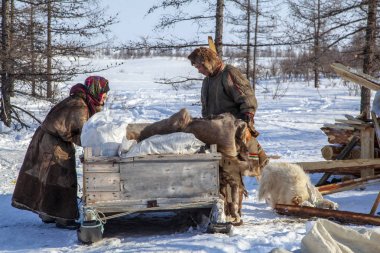 Uzak kuzey sakinleri, Nenets insanların otlak, d