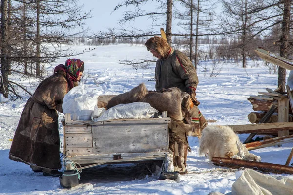 Residentes do extremo norte, o pasto de pessoas Nenets, o d — Fotografia de Stock