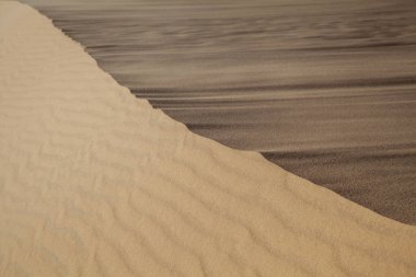 Sahra Çölü'nde kumulların güzel kum doku