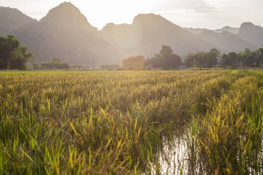 Trang An, Tam Coc, Ninh Binh, Vietnam.