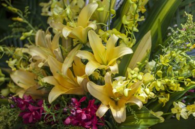 Taze bahar buketi. Yaz geçmişi. Taze flo Zengin demet