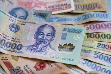  Para. Vietnam banknotları. Banknot üzerinde Ho Chi Minh görüntü 