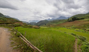 Sapa köyü yakınlarındaki dağlarda pirinç tarlaları, Kuzey Vietna