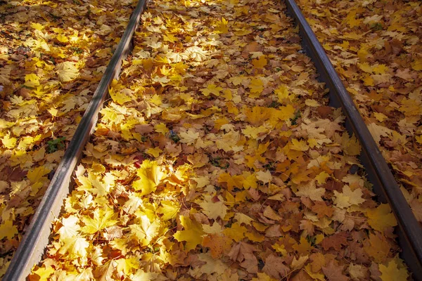 Goldener Herbst, wunderschöne Herbstlandschaft, Eisenbahnschienen in der — Stockfoto