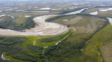 Orman-tundra ve kumlu nehir kıyısında Manzara, fotoğraf f