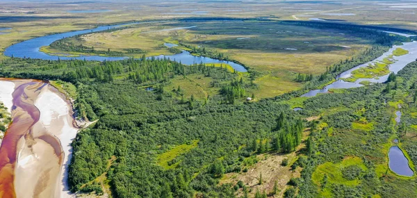 Paisagem da floresta-tundra e a margem de rio arenoso. — Fotografia de Stock