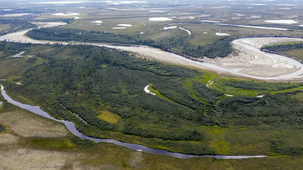 Paisaje de la selva-tundra y la orilla del río arenoso, foto f —  Fotos de Stock