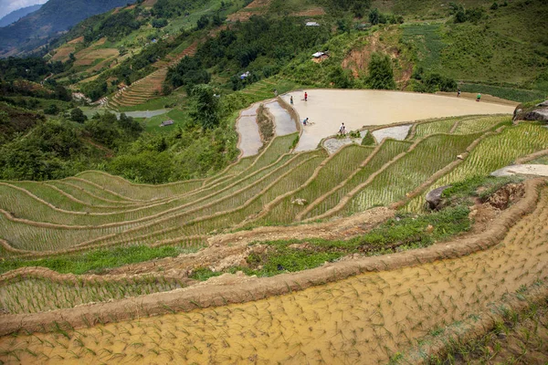 Pratos de arroz nas montanhas perto da aldeia de Sapa, Vietna do Norte — Fotografia de Stock