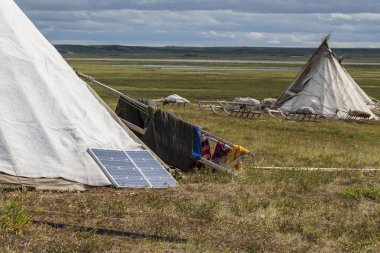 Yamal, Tundra'da dizginler, Nenets çayırı