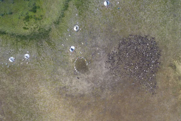 Paisaje Selva Tundra Orilla Del Río Arenoso Foto Quadrocopter Vista — Foto de Stock