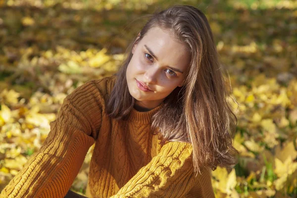 Koncepcja złotej jesieni. Piękna dziewczyna w żółtym swetrze siedzę — Zdjęcie stockowe