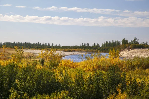 Beautiful landscape of forest-tundra, Autumn in the tundra. Yel — Stock Photo, Image