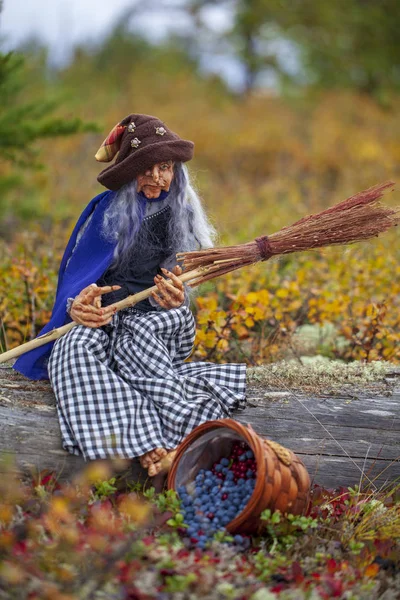 plastic doll, polymer clay, witch with a broom in the forest