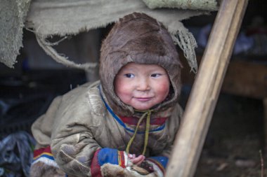 tundra, aşırı kuzey, Yamal, Nenets insanların mera, 