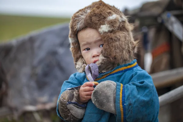 Die Tundra, der äußerste Norden, der Yamal, die Weide der Nenets, — Stockfoto