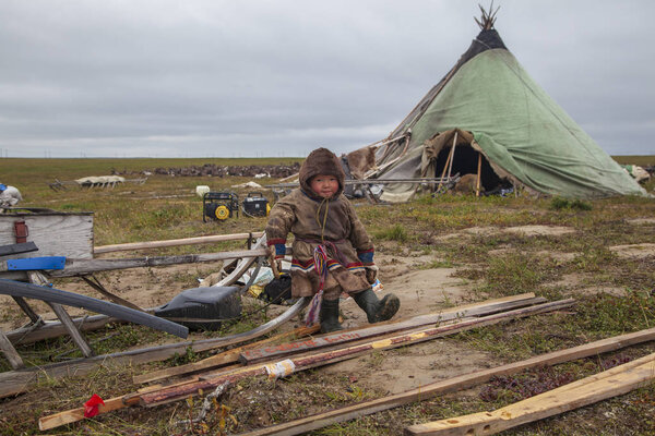 tundra, The extreme north, Yamal, the pasture of Nenets people, 