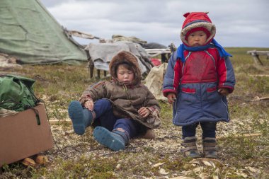 Nadym, Rusya - 11 Ağustos 2019 :tundra,Tundra sakini, aşırı kuzey, Yamal, Nenets insanların otlak, tundra yurt yakınında oynayan tatilde çocuklar