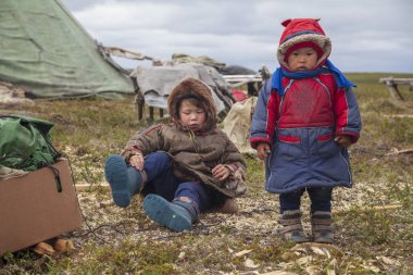 Nadym, Russia - august 11, 2019 :tundra,A resident of the tundra, The extreme north, Yamal, the pasture of Nenets people, children on vacation playing near the yurt in the tundra clipart