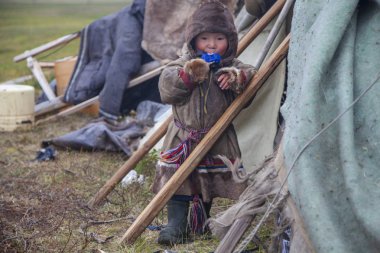 A resident of the tundra, The extreme north, Yamal, the pasture of Nenets people, children on vacation playing near reindeer pasture clipart