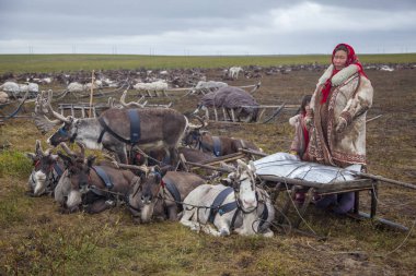 En kuzeyde Yamal, Nenets halkının geçmişi, kuzeydeki insanların evleri, tundrada yurt yakınlarında bir aile fotoğrafı.
