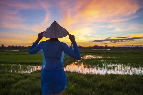 Lány Egy Hagyományos Vietnami Kalap Áll Rizs Mezők Sugarai Naplemente — Stock Fotó